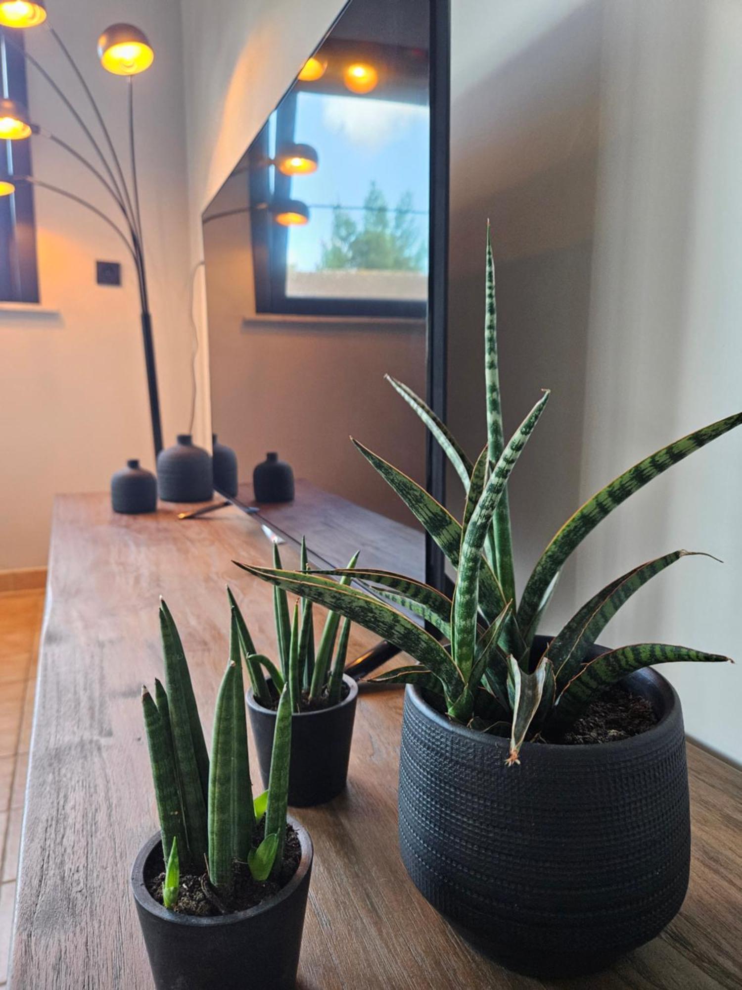Vakantiewoning Maison Mathiz Middelkerke Luaran gambar
